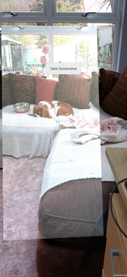 Screenshot of a screenshot of a puppy on a sofa with the image almost filling the screen as the device was pulled back to show image size